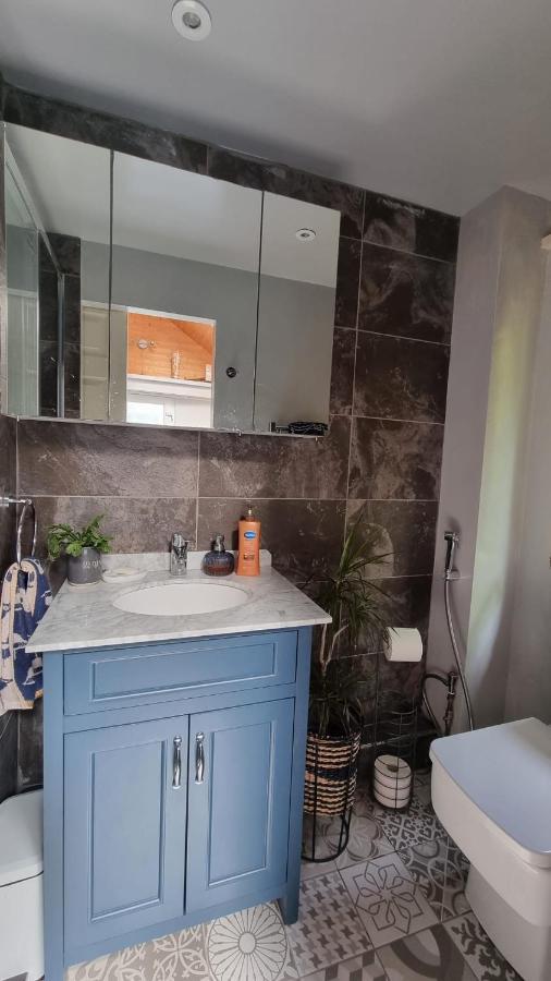 Glebe House, Private Entrance, Free Parking On Drive, Self Check In, Netflix Bed and Breakfast Ashford  Eksteriør billede
